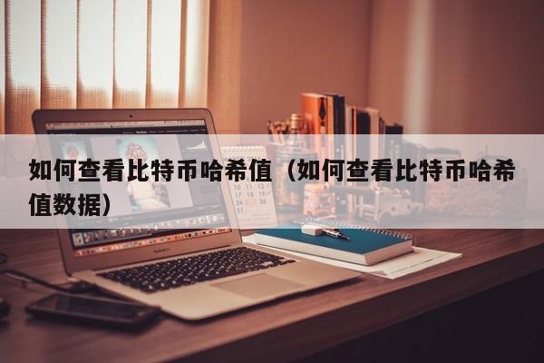 如何查看比特币哈希值（如何查看比特币哈希值数据）