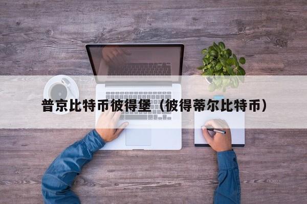 普京比特币彼得堡（彼得蒂尔比特币）
