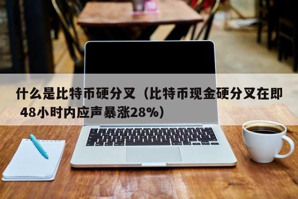 什么是比特币硬分叉（比特币现金硬分叉在即 48小时内应声暴涨28%）