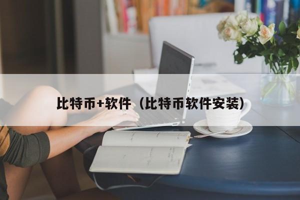 比特币 软件（比特币软件安装）