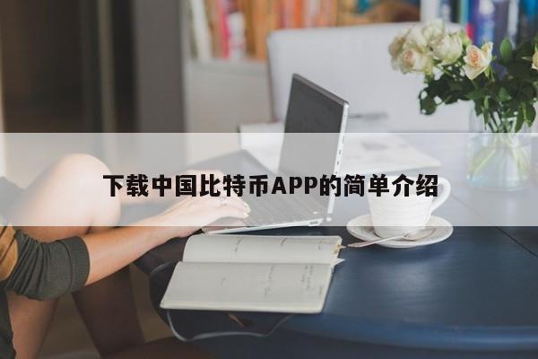 下载中国比特币APP的简单介绍